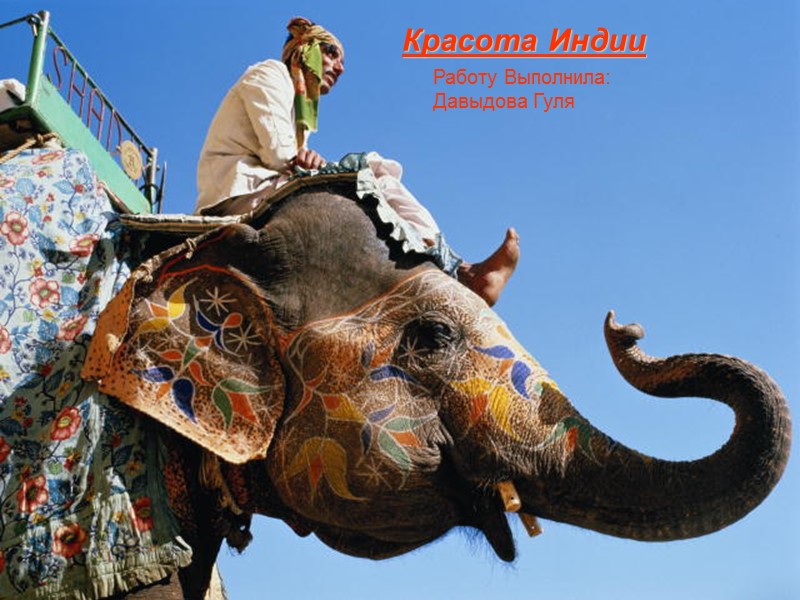 Красота Индии Работу Выполнила: Давыдова Гуля